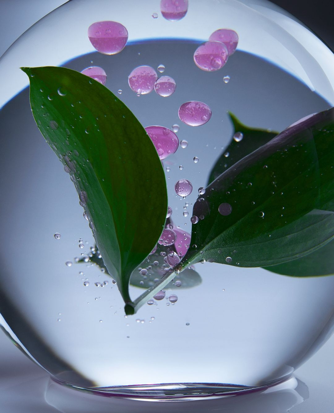 Adam Savitch Nov. 25