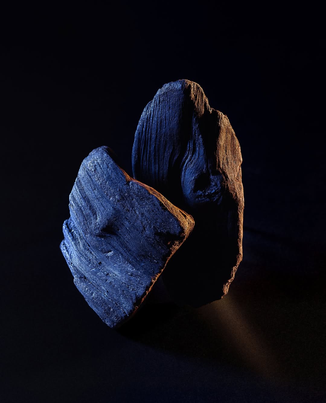 Adam Savitch X Dior Beauty Nov. 25