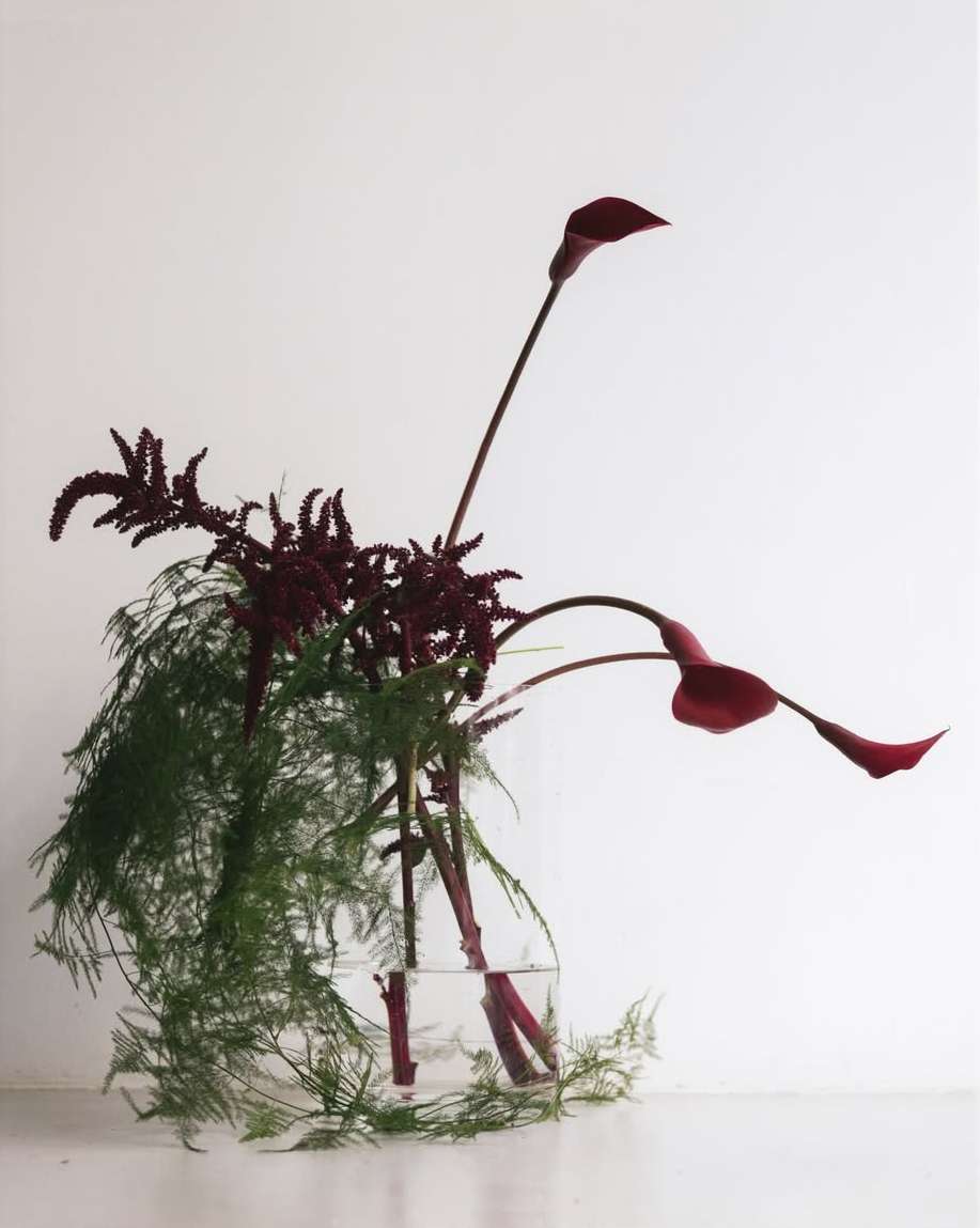 Adriana Roslin Feb. 26