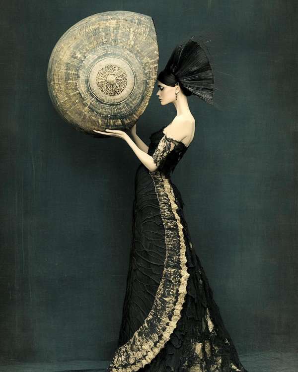 Ann Cutting