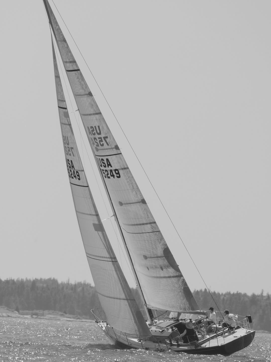 Ann Cutting Aug. 26