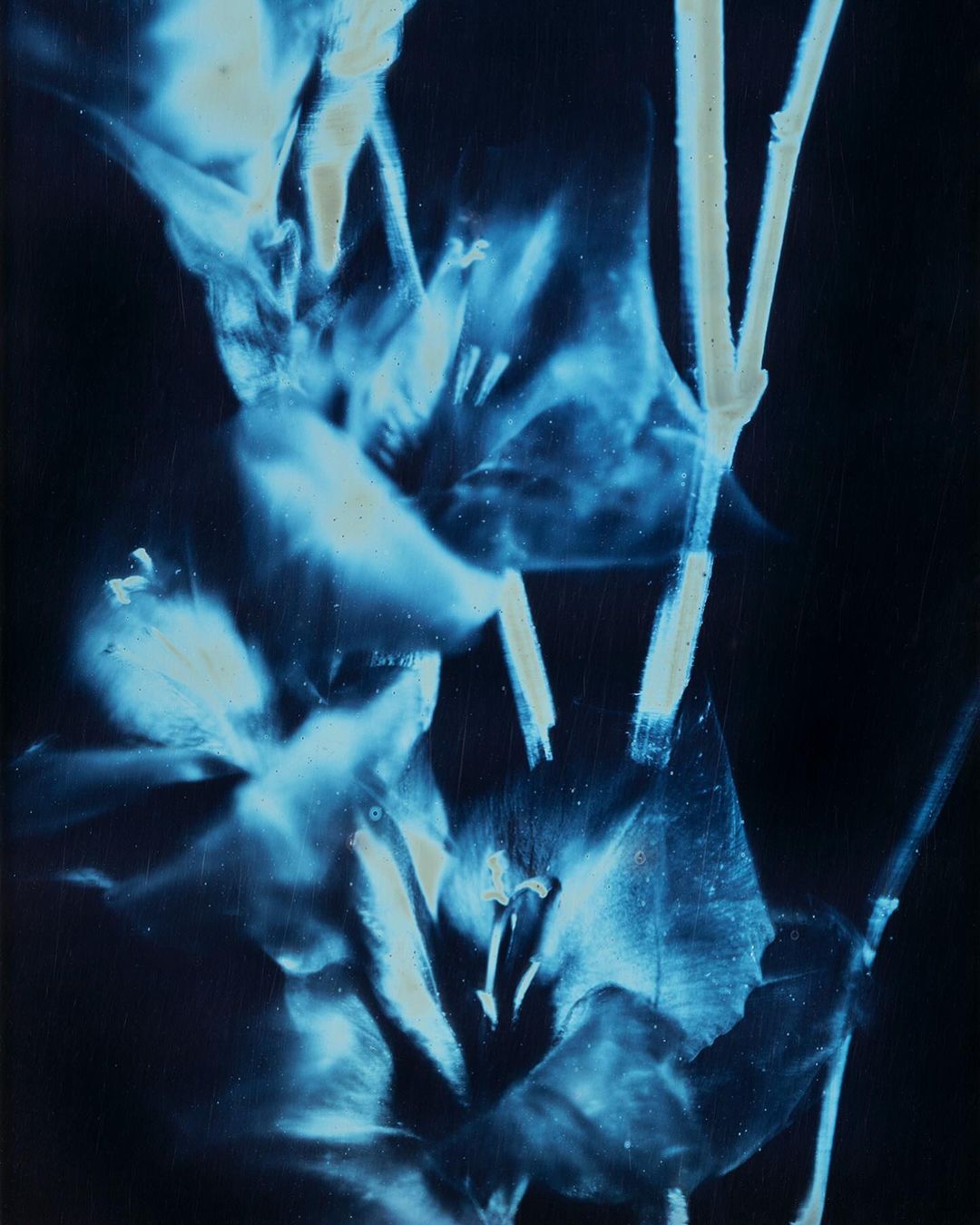 Davide Cassinari