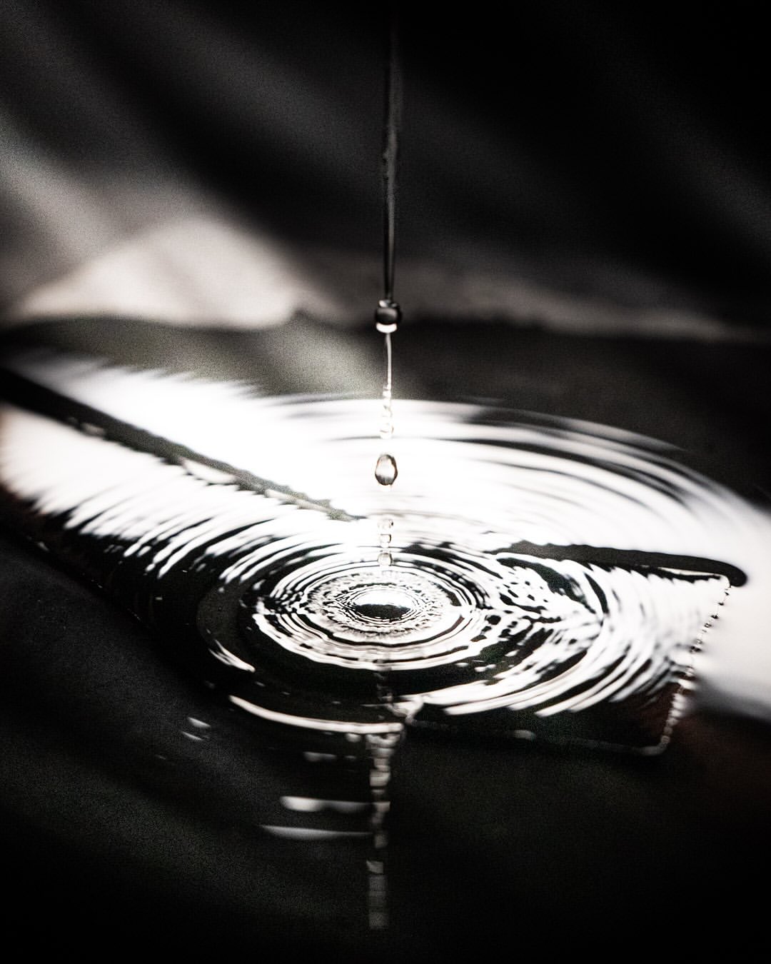 <a href="/gabriel-de-la-chapelle">Gabriel De La Chapelle</a> X gérald genta <span style="text-transform: none; white-space: nowrap;">Oct. 25</span>