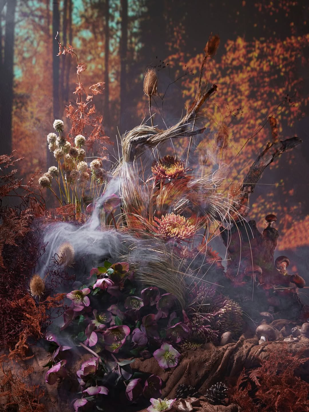 Davide Cassinari X À PART Art & Fashion magazine Nov. 25