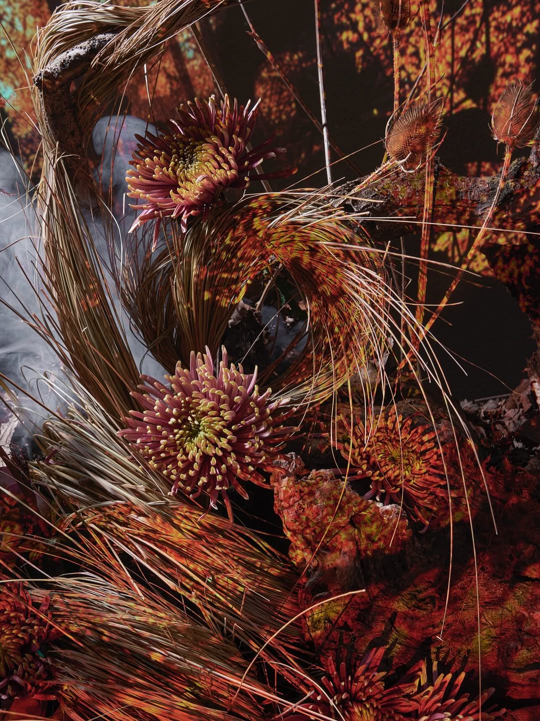 Davide Cassinari X À PART Art & Fashion magazine Nov. 25