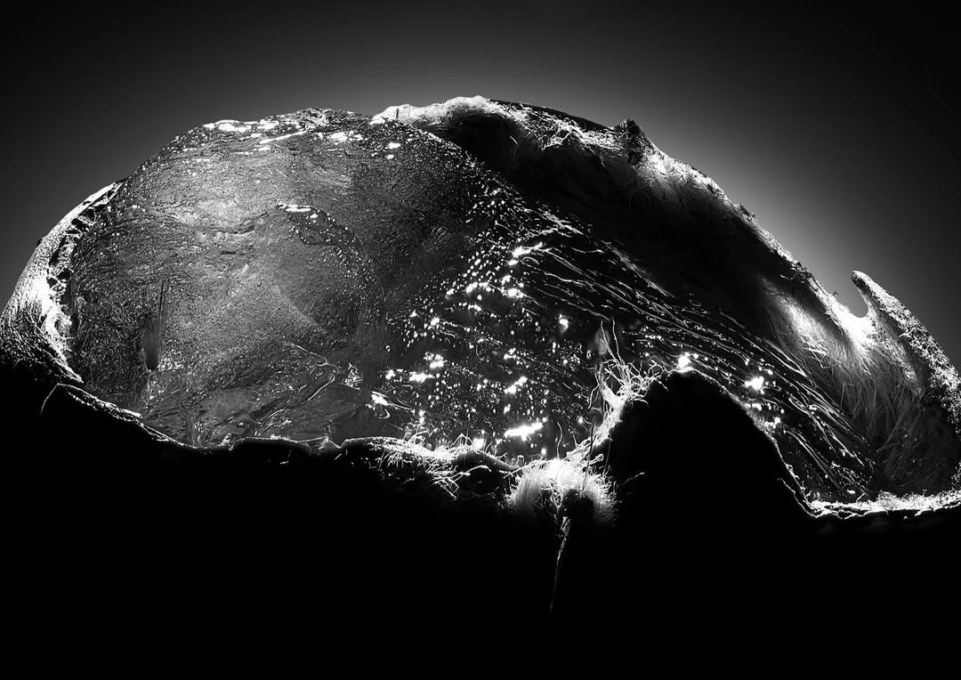 Davide Cassinari X Nature