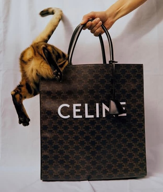 Jake Terrey X Celine Aug. 25