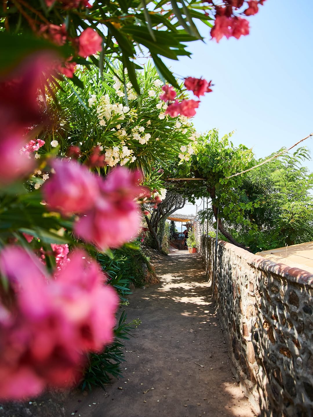 James Meakin X Conde Nast Traveller Aug. 25