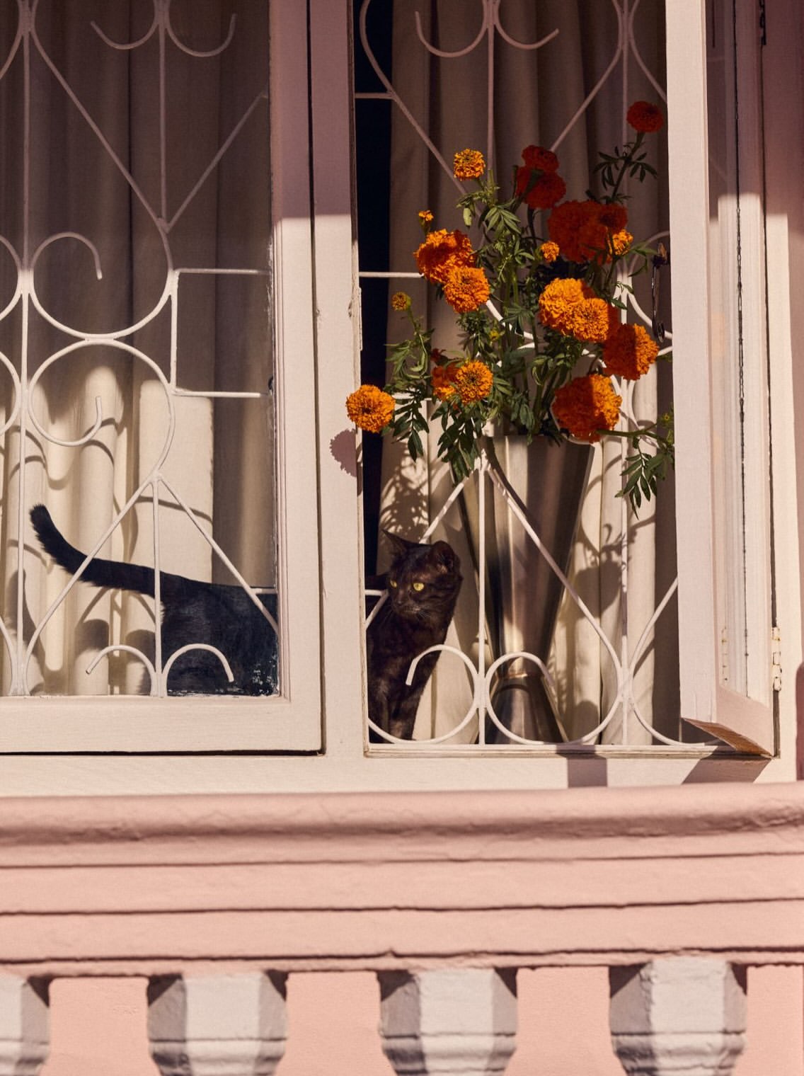 House and Leisure |  Sep. 26