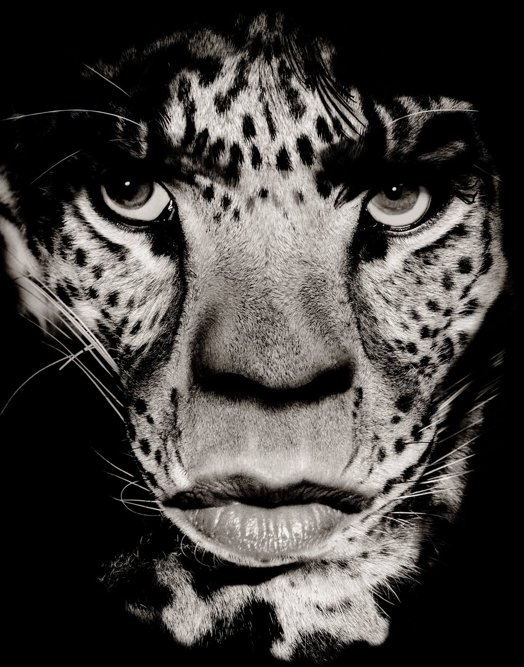 Albert Watson X The Rolling Stones