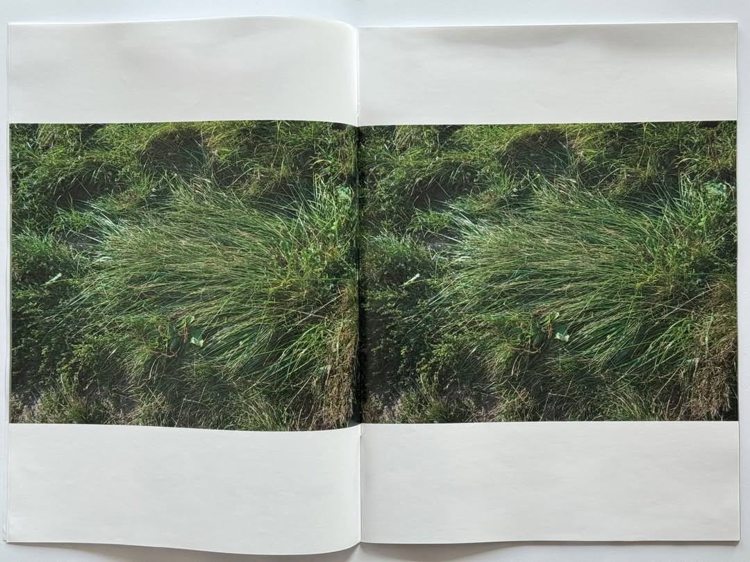 Alessandro Furchino Capria