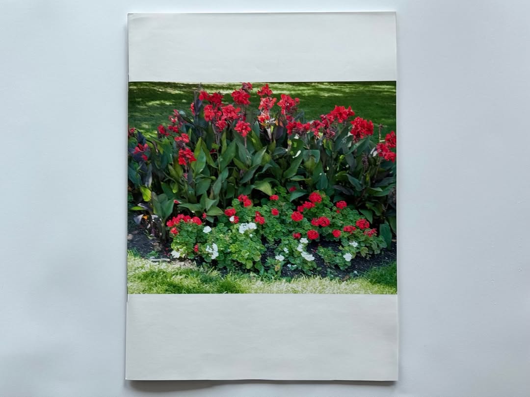 Alessandro Furchino Capria