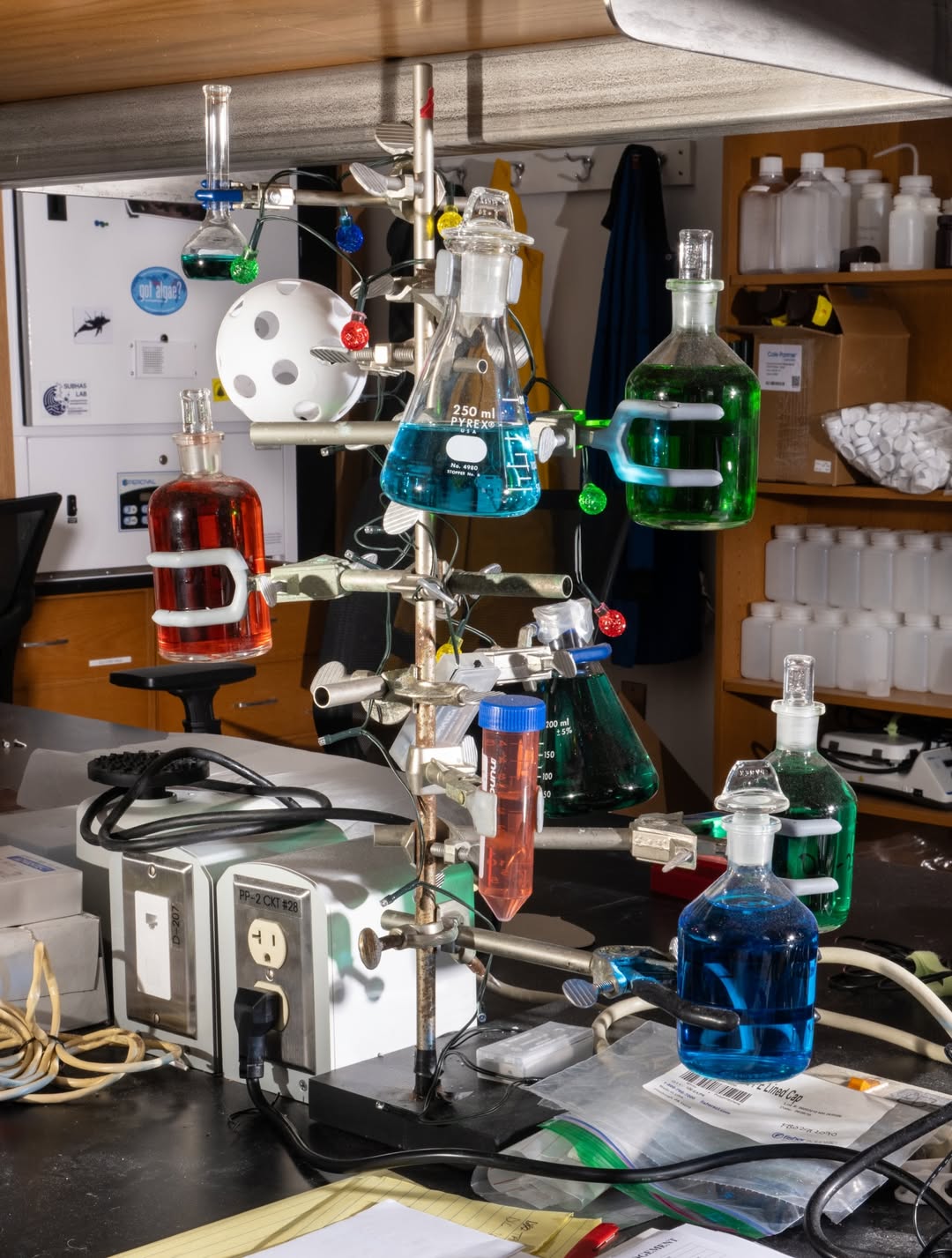 Alexander Coggin X The New York Times Magazine Jan. 26