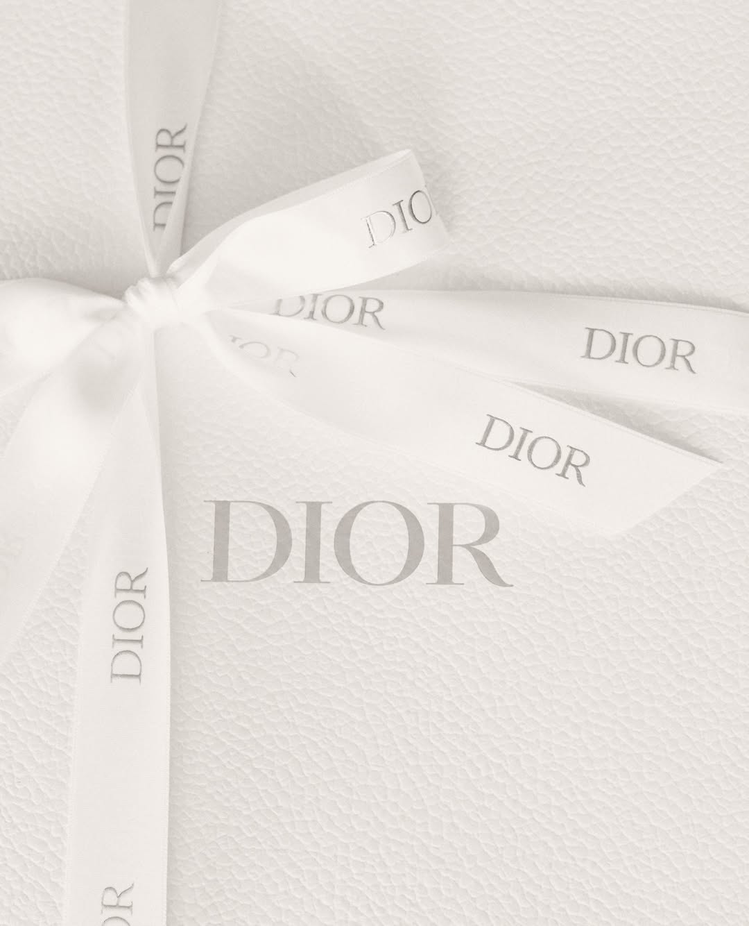 Alexander Rotondo X Dior Mar. 26