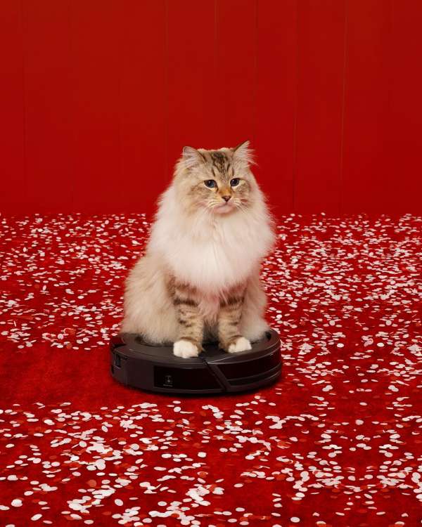 Aleksandra Kingo