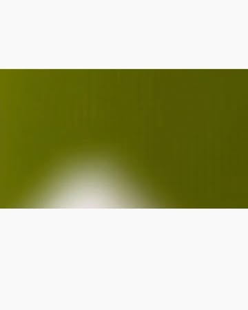 Tyllie Barbosa Dec. 25