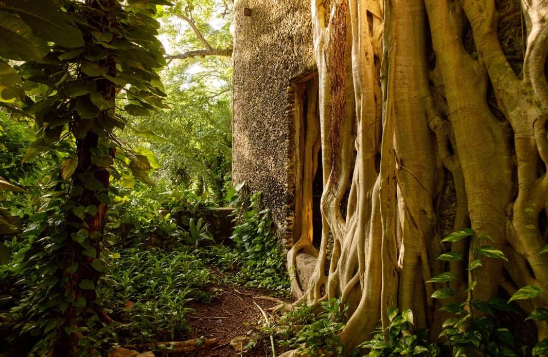 River Jordan Feb. 26