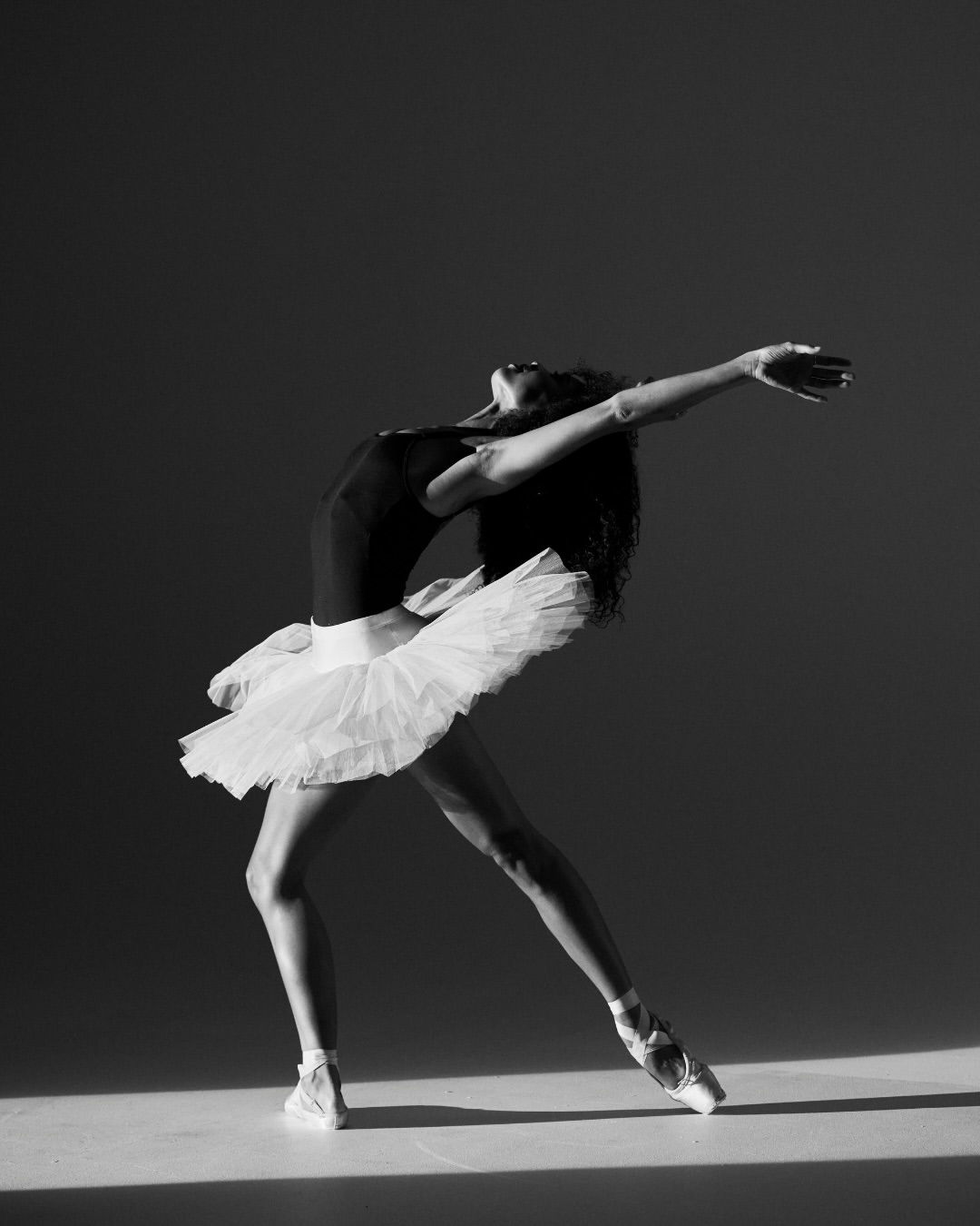 Mike Schwartz X Los Angeles Ballet