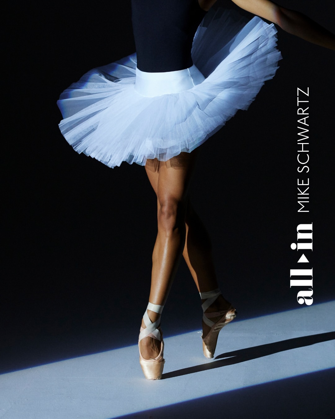 Mike Schwartz X Los Angeles Ballet