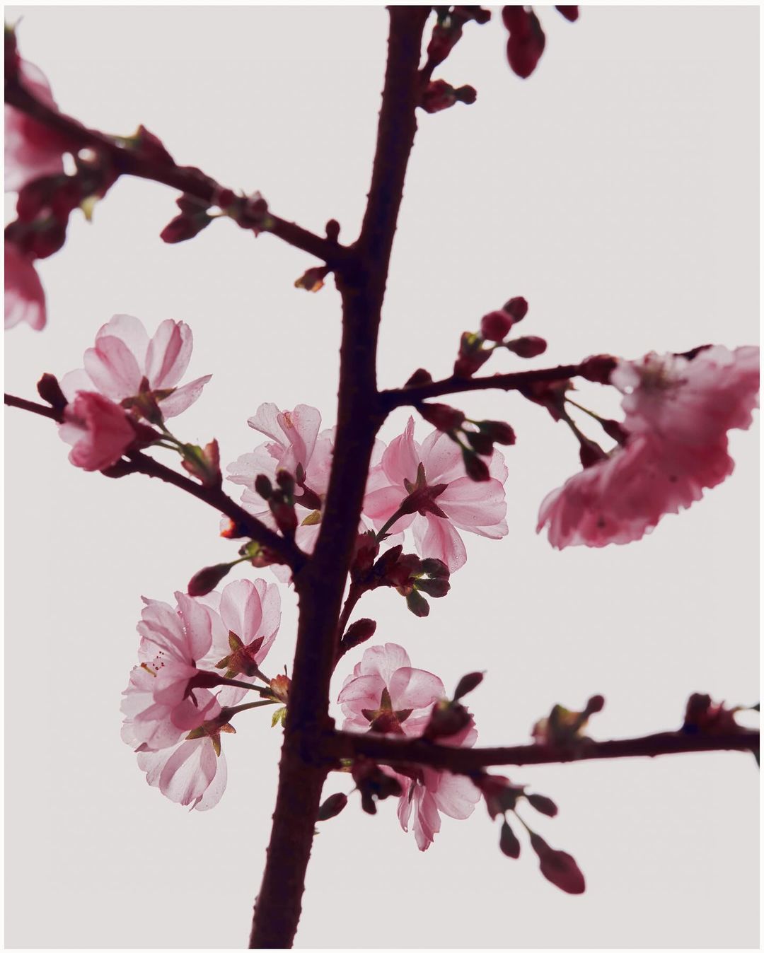 M Le Monde |  Mar. 24