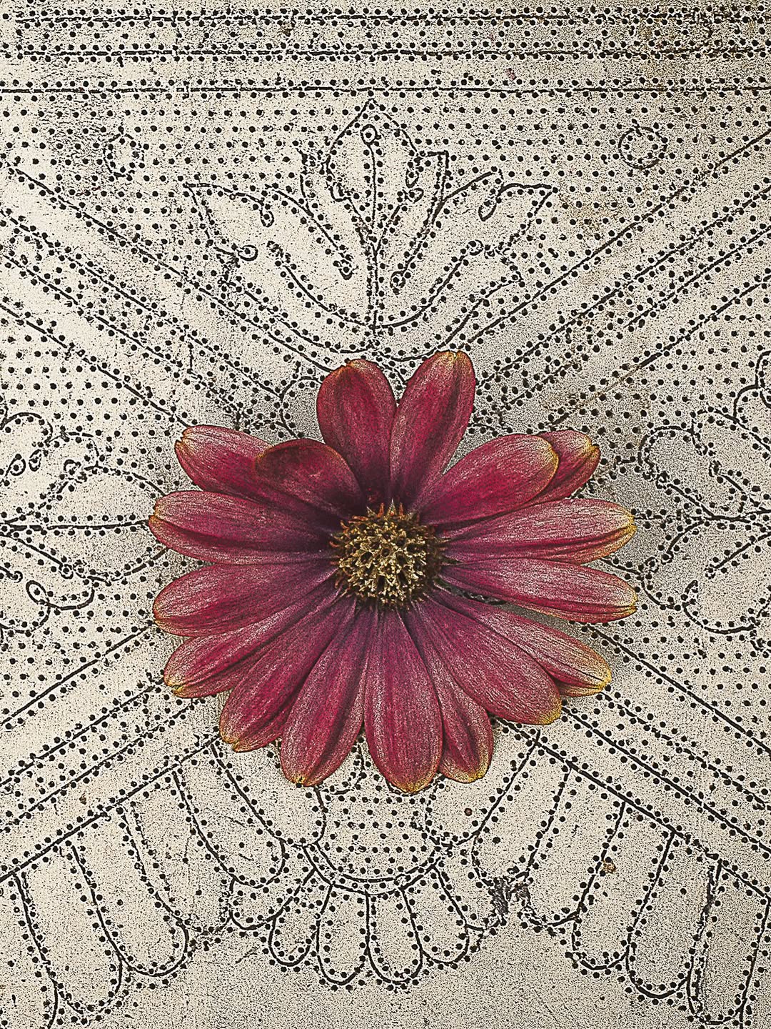 Amélie Chassary Oct. 25