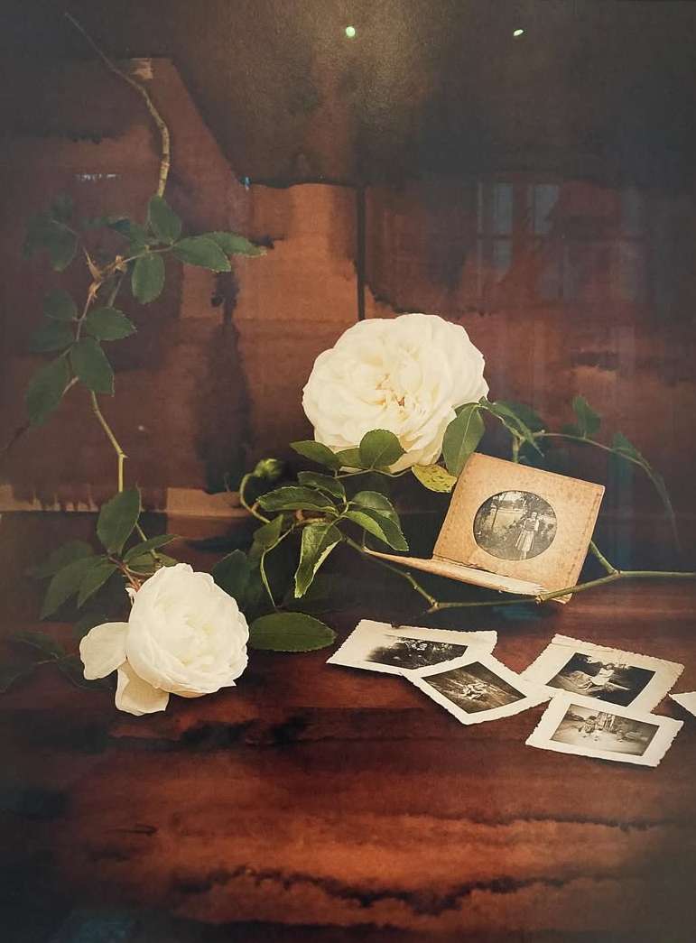 Amélie Chassary X PhotoSaintGermain Nov. 25