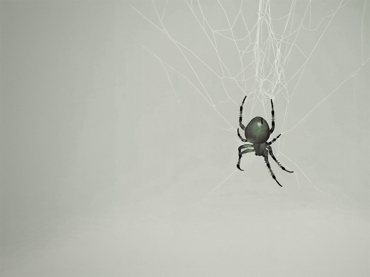 Chloe Claverie Nov. 25