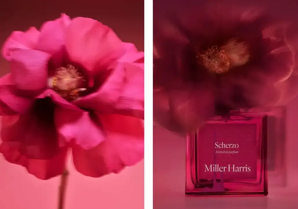 Tom Brannigan X Miller Harris Perfumer London