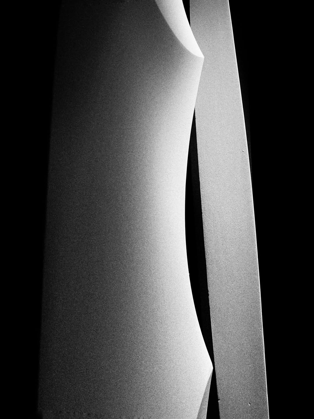 Amina Marazzi Gandolfi