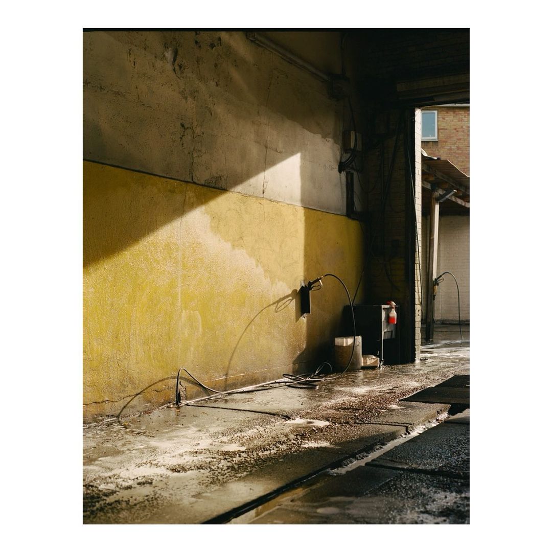 Nico Froehlich