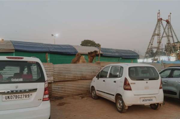 Yushy Pachnanda