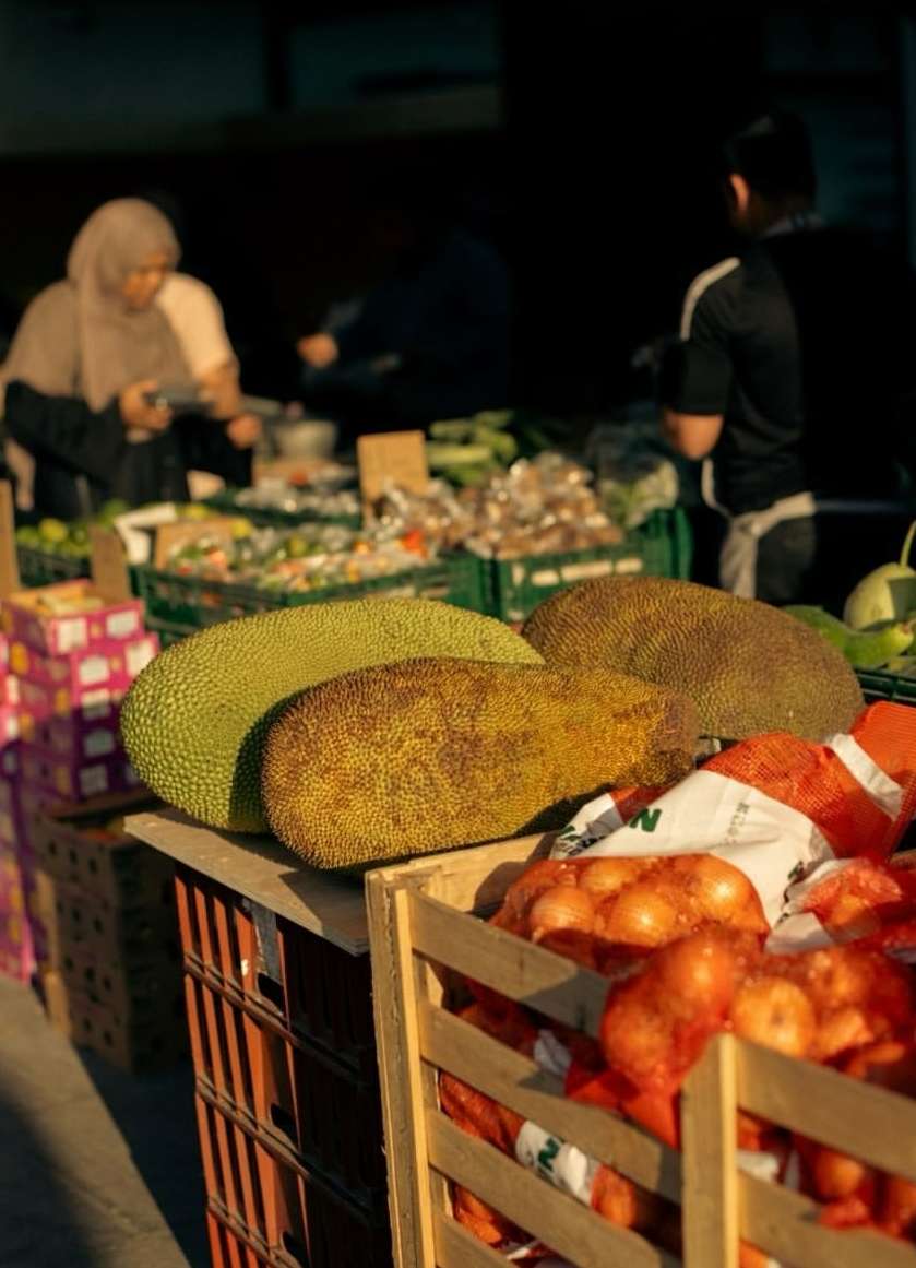 Freya Najade Jan. 26