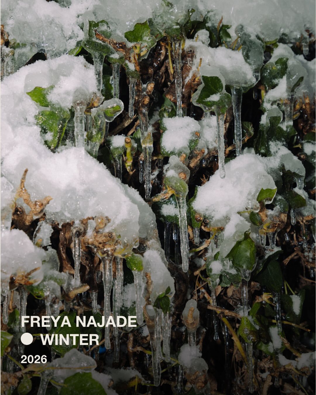 Freya Najade Jan. 26