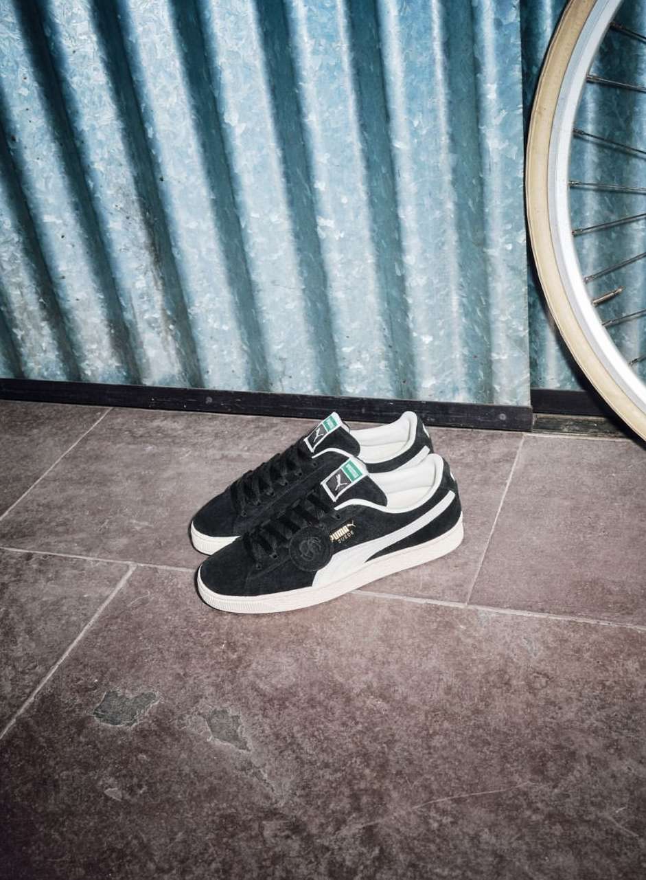 Puma |  Aug. 26