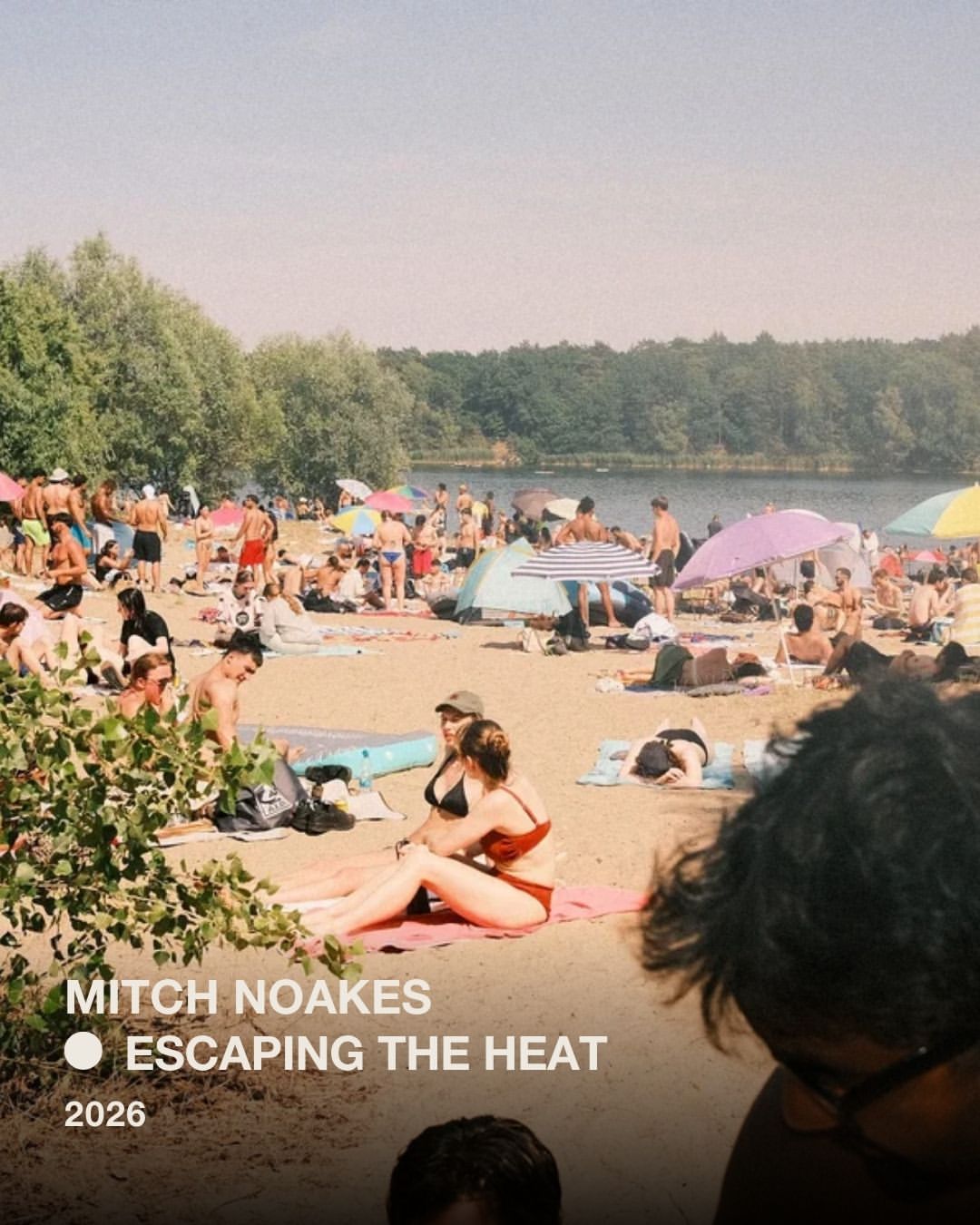 Mitch Noakes