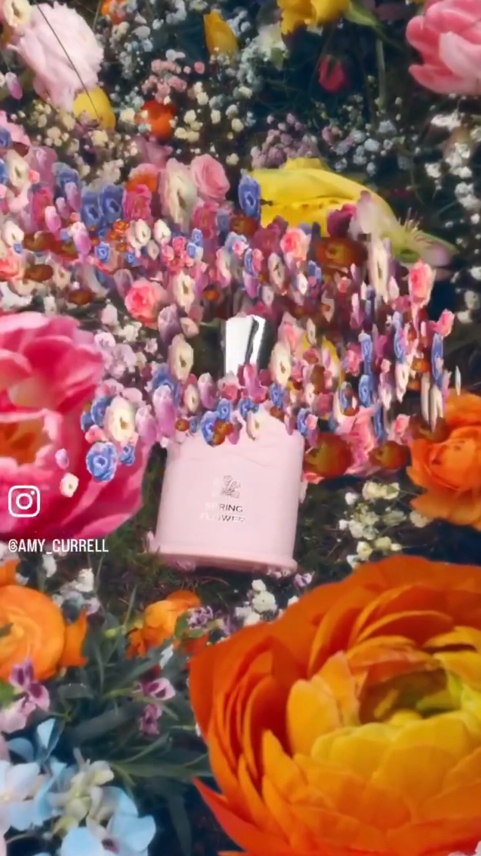 Creed Fragrances |  Apr. 23