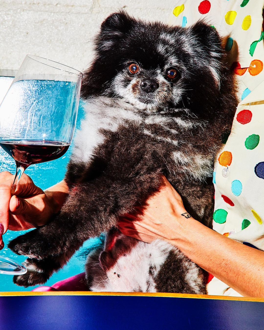 Wine & Spirits Magazine |  Oct. 23