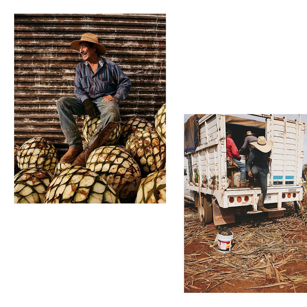 Tequila Cazadores |  Nov. 21