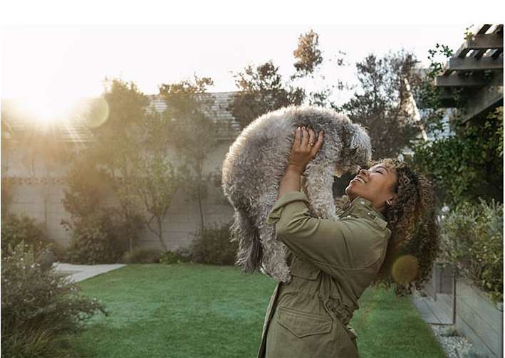 Hill's Pet Nutrition |  Nov. 23