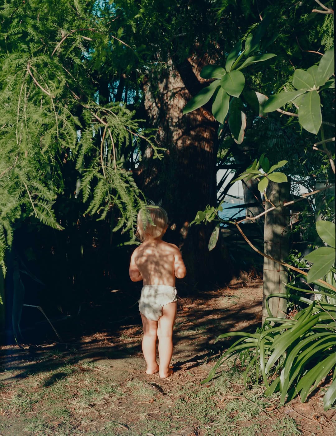 Emily Hlavac Green