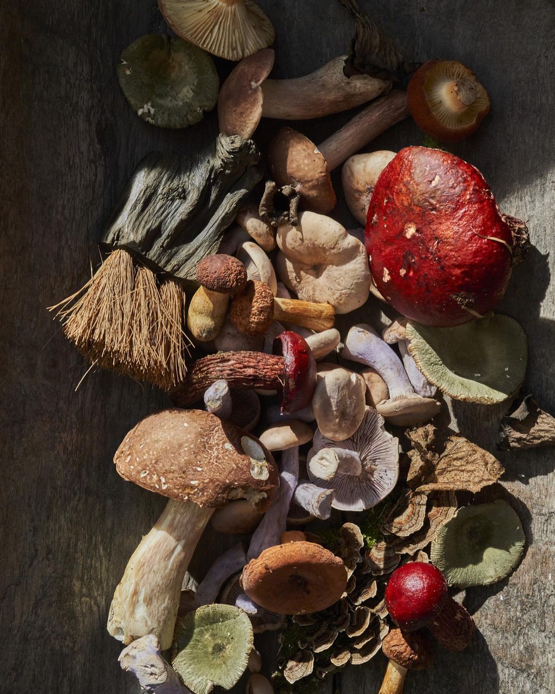 Artisan Books |  Sep. 22