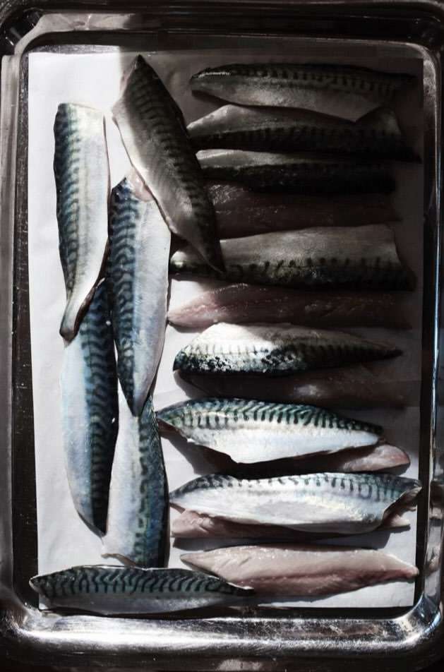 Gentl and Hyers Feb. 26