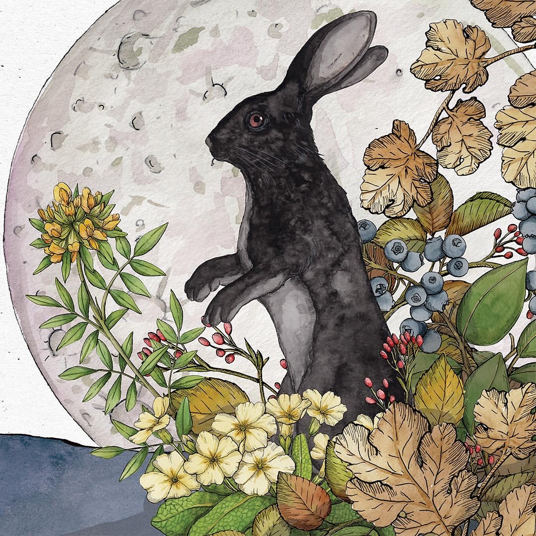 Andrea Tarella Nov. 25