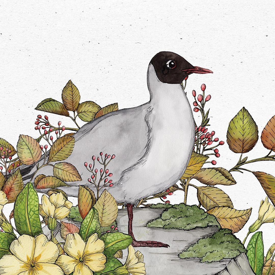 Andrea Tarella Nov. 25