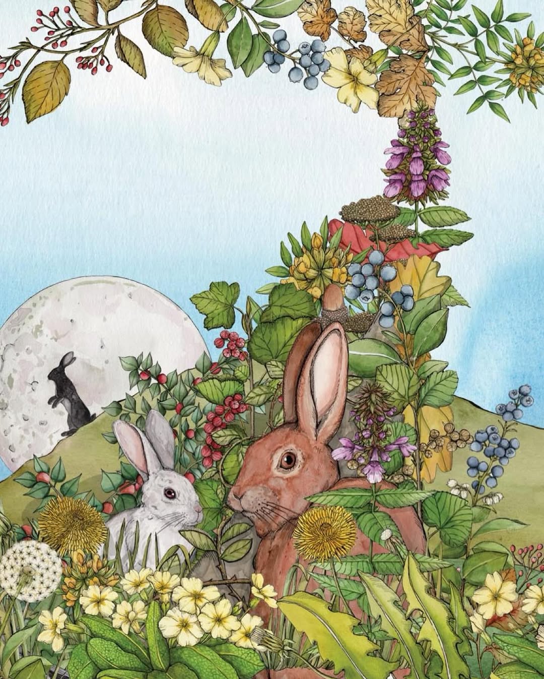 Andrea Tarella Nov. 25