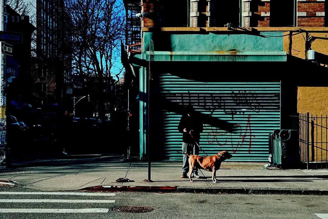 Andree Ljutica Mar. 26