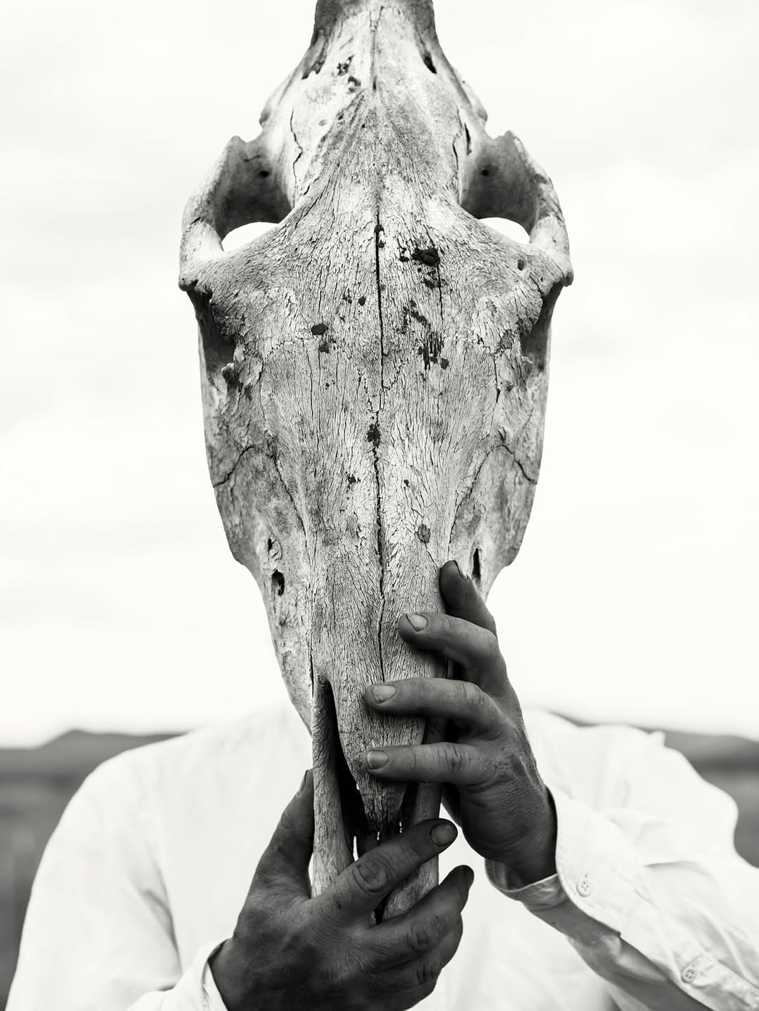 Andy Anderson