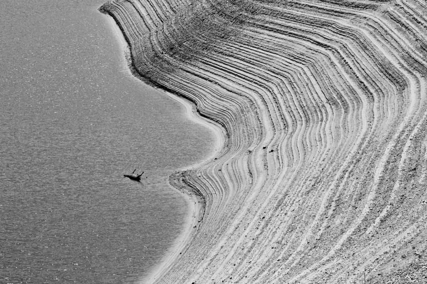 Andy Anderson