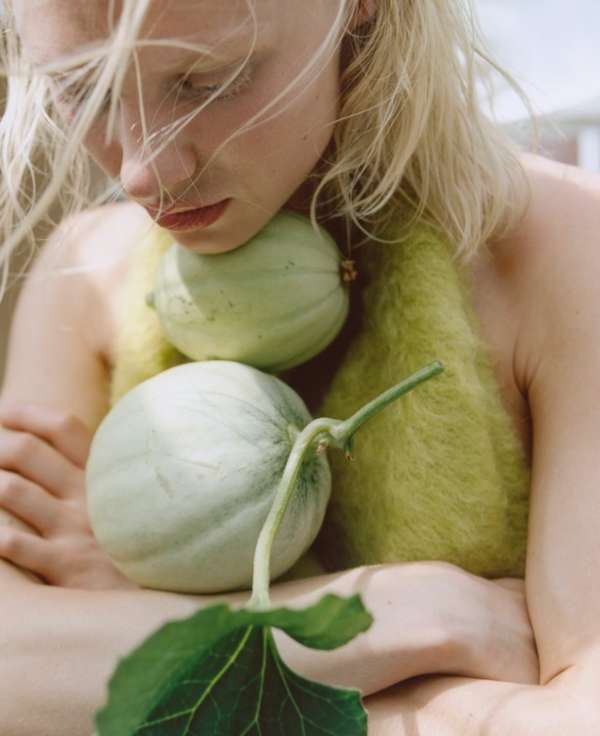 @vilmasj @suzor @tricjacotterrill @maria_jo...