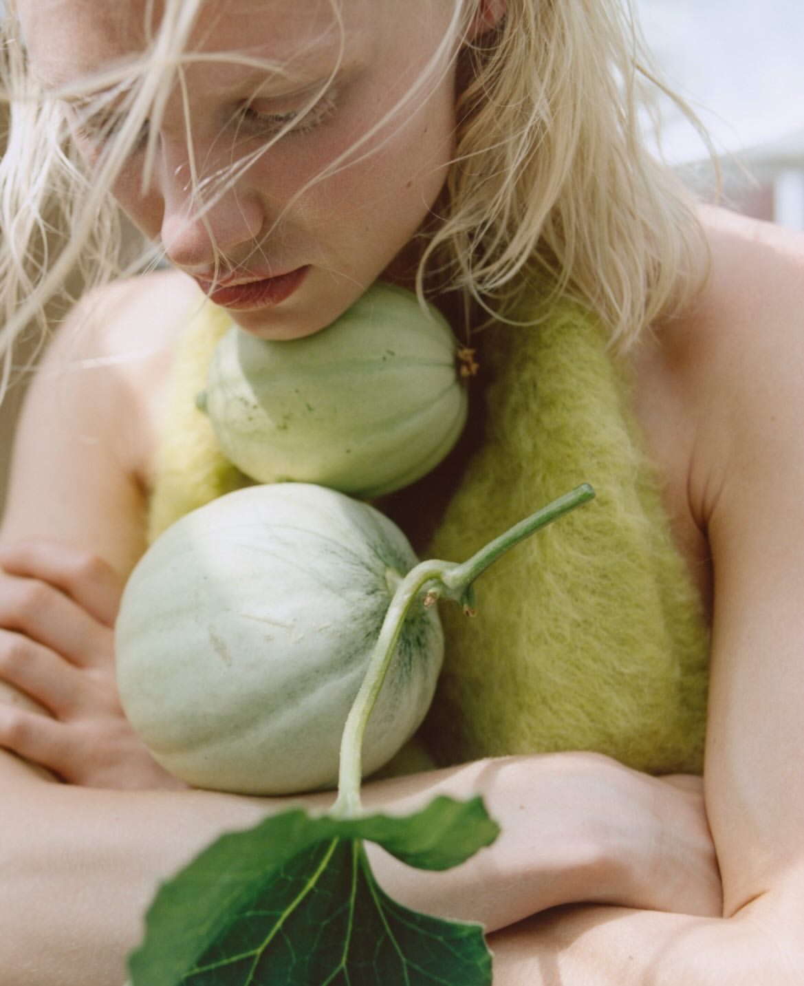 @vilmasj @suzor @tricjacotterrill @maria_joudina @...